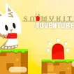 Snowy Kitty Adventure