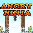 Angry Ninja