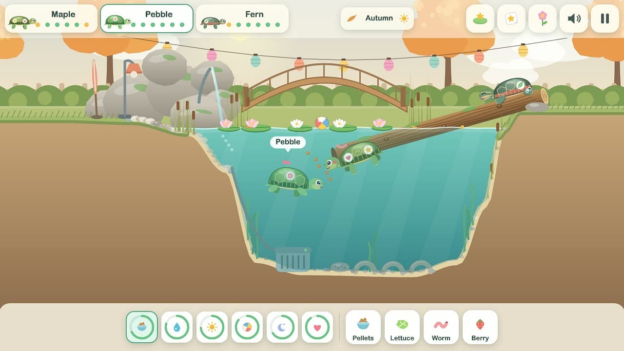 Turtle Pond – snímek 1 z 4