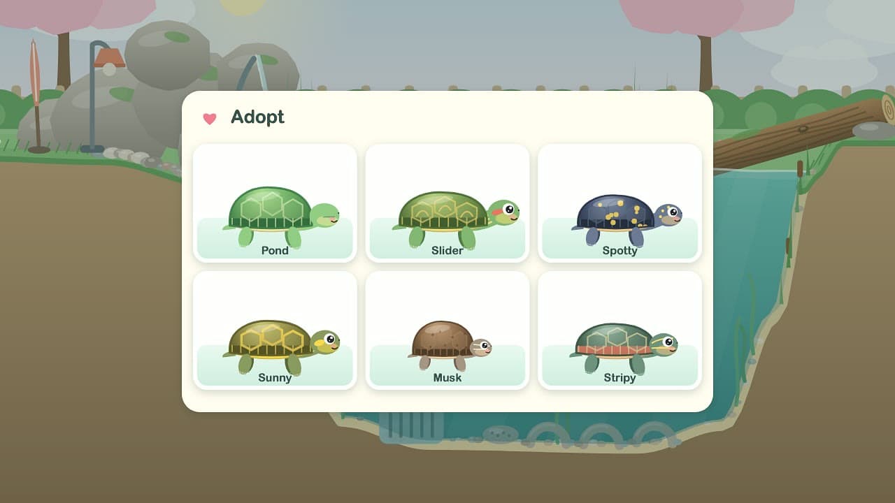 Turtle Pond – snímek 3 z 4